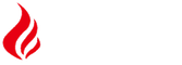 SECUVIA Systems and Services